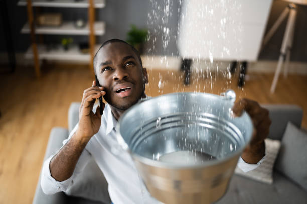 Best Local water damage restoration  in Wise, VA