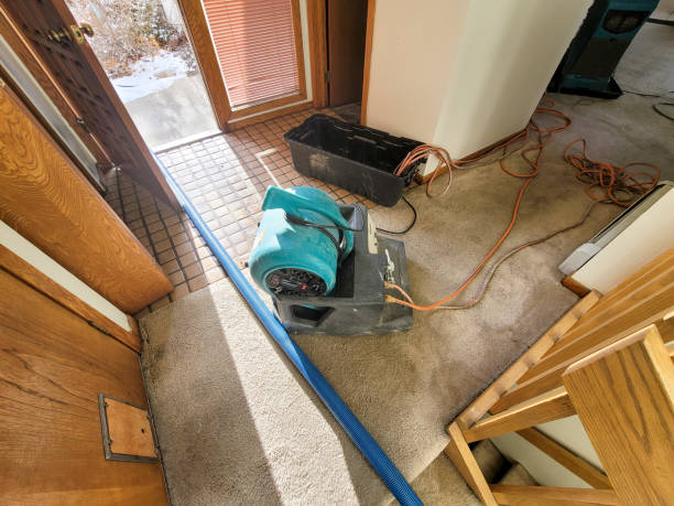 Best Water damage restoration near me  in Wise, VA