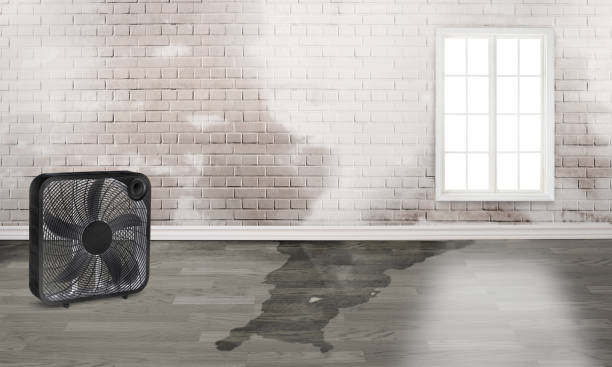 Best Residential water damage restoration  in Wise, VA