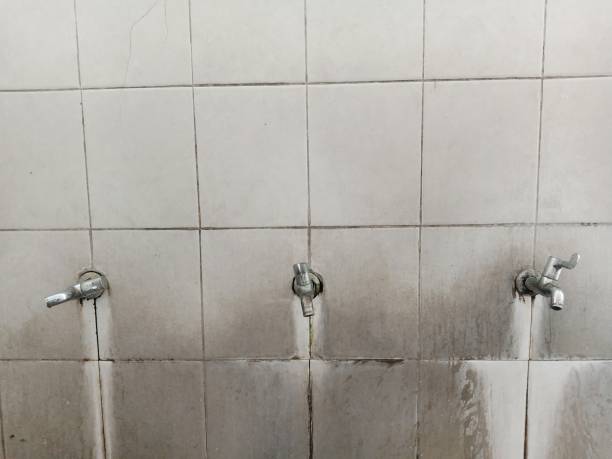 Best Water damage restoration near me  in Wise, VA