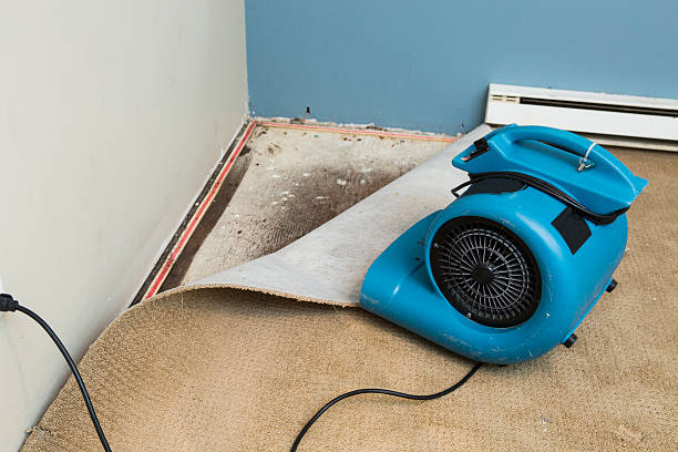 Best Fire Damage Restoration  in Wise, VA