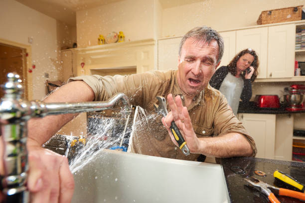 Best Professional water damage repair  in Wise, VA